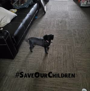 Meet your Posher, Nessa